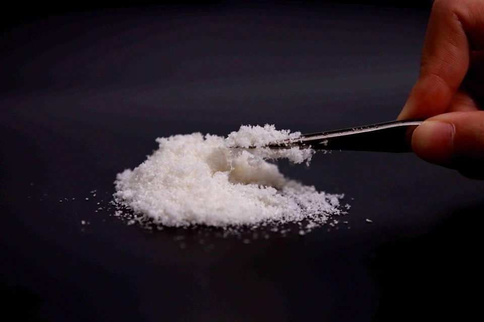 Wound Collagen Powder best